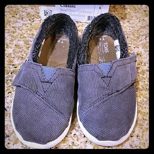 Grey Toms